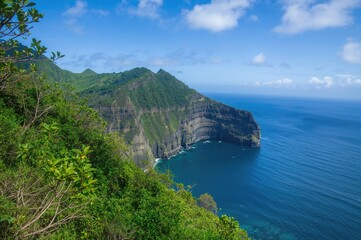 Fototapeta premium Top Tourist Spot Fanal in Madeira Island's Natural Beauty