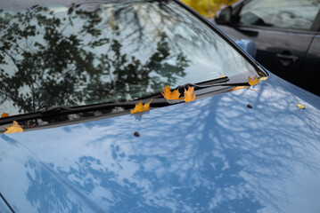 Close-up of a blue car hood and windshield with fallen autumn leaves and tree reflections.