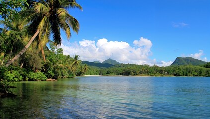 Obraz premium Tropical lake surrounded by palm trees on an island