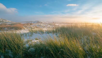 Bright Winter Scenery on a Clear Day