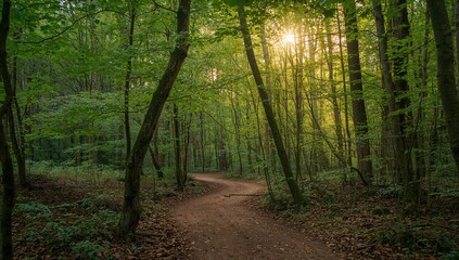 Obraz premium Curved tree by the trail in a lush woodland