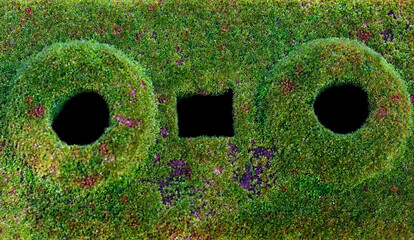 Close-up of moss-covered surface with three distinct holes resembling a face. Natural texture meets man-made design in a unique organic composition.