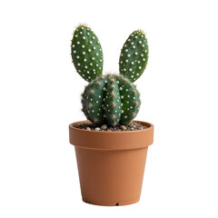Cactus Plant With White Spots In A Terracotta Pot Featuring Two Upright Leaf Like Extensions Against A Transparent Background