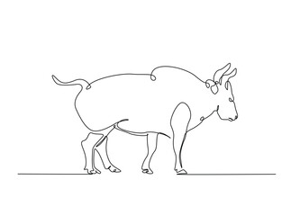 Aggressive bull in single outline illustration. Continuous line art drawing of angry bull.