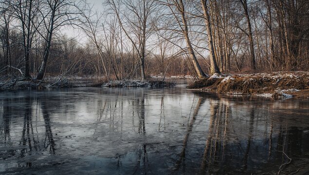 Winter Scene of Waterline on a Lakebed with Trees and Reflections
