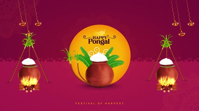 Happy Pongal festival pot, sugarcane and banana Leaf. Can be used for Happy Pongal greetings. 4K Animation