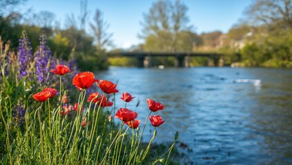 Bright red poppies and violet blossoms flourish beside a river, with a softly focused bridge in the distance, depicting a peaceful springtime view.
