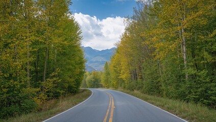 Fototapeta premium Vertical photo taken during the day of a road flanked by vibrant, beautiful trees