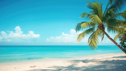 Coastal scene featuring a hazy azure sea and sky, palm trees in the backdrop, summer theme