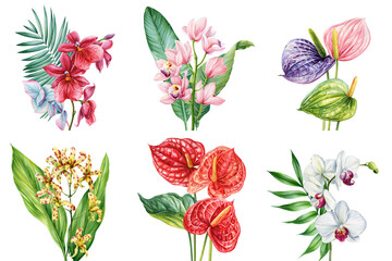 Tropical Flower Set Orchid Anthurium Exotic Botanical Collection Colorful Floral Illustration with Leaves on White Background