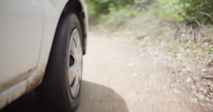 SUV driving on a dirt road through a lush green forest, showcasing adventure and exploration in nature