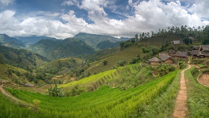 Stunning view of lush stepped rice fields in a mountainous region