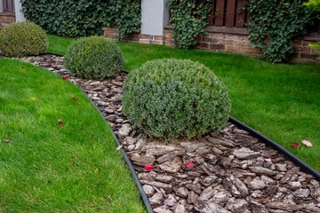 Fotobehang Groen Decorative garden border with trimmed bushes, bark mulch, and green lawn in modern residential yard. Use for landscaping, garden planning, urban design, landscape architecture concepts. Real photo  © LariBat