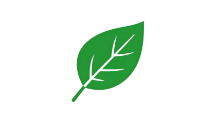 Green leaf on black. Graphic of a single leaf, with veins, rendered in a flat style on solid black background
