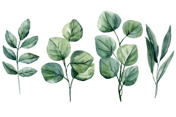 Watercolor Botanical Greenery Composition Eucalyptus Leaf Branches, Hand Painted Natural Foliage Illustration for Floral Design