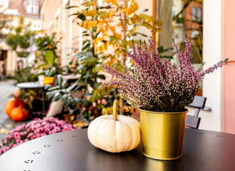 Cafe Table Outside With Autumn Decorations