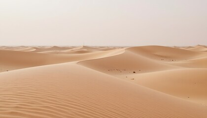 Vast Golden Sand Dunes Under Soft Light in an Arid Desert Landscape