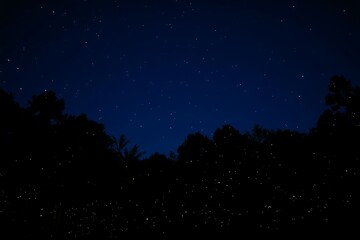 Generative AI night sky with fireflies and trees.