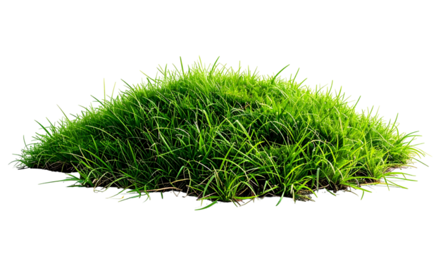 A lush patch of vibrant green grass isolated against a stark black background