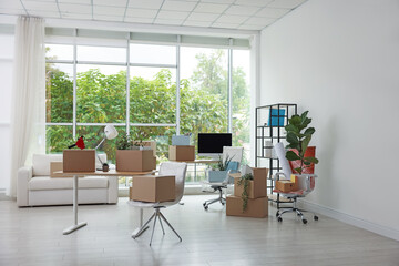 Many moving boxes, houseplants and furniture in new office