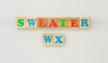 Wooden Letter Blocks Displaying Sweater WX