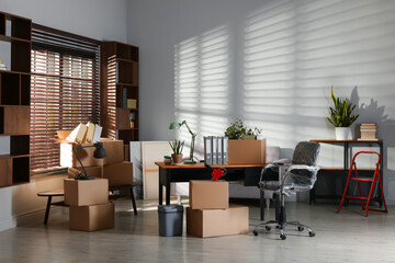 Many moving boxes, houseplants and furniture in new office