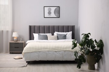 Large bed with linens, nightstand and houseplant near grey wall in bedroom. Interior design