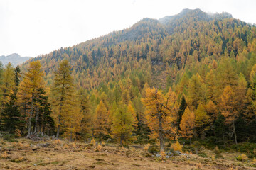 Blick richtung Cornasc