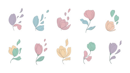 Floral Symphony: A curated collection of delicate, hand-drawn floral designs showcases a spectrum of soft pastel hues, each petal and leaf exuding a unique charm and artistic expression.
