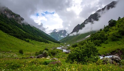 Mountain valley meadow with a stream
