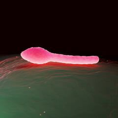 Clostridium Tetani Bacterium Microscopic 3D Render