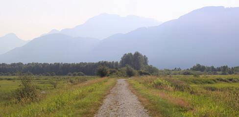 Sleepy river dykes in a foggy morning
