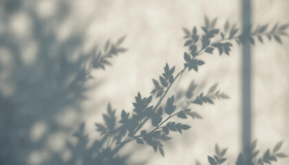 Abstract shadow of leafy branches cast onto a subtly textured, light-colored wall, creating a natural and peaceful atmospheric background.