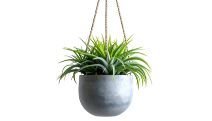 A hanging green plant in a grey, concrete pot suspended by woven twine against a black background