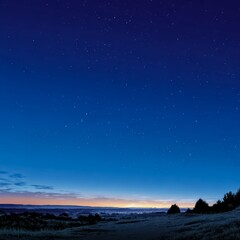 Fototapeta premium Beautiful night sky with a few stars and a few trees in the background. The sky is a deep blue color