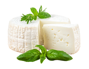Cheese wheel and a slice, garnished with basil and rosemary on a black background