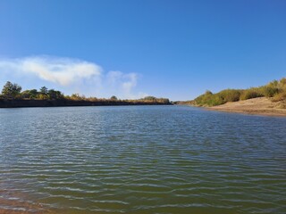 lake and forest