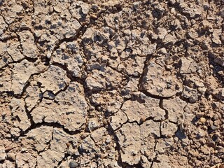 dry soil background