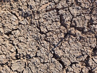 dry cracked earth