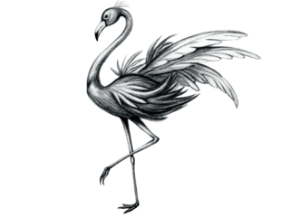 Hand drawn flamingo isolated on transparent background, a graceful bird in monochrome