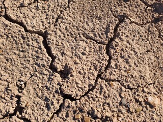 dry cracked earth
