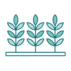 Plants in a Row Cultivation Icon for Web and Graphic Design