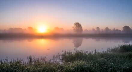 Fototapeta premium Wide-Angle Serene Wetland Morning Mist with Reflective Water