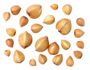 Collection of light brown triangular seeds scattered against a pure black background, top-down view