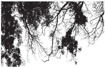 scribble shape, abstract geometric shapes on white background