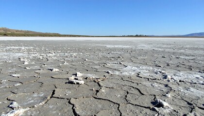 Dried lake bed with polygonal mud cracks and salt crust in remote basin under clear sky