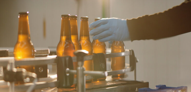 Worker wearing a blue glove checking amber beer bottles on a conveyor belt during the bottling process inside a brewery, ensuring quality control and efficient production