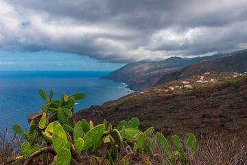 Caminando entre acantilados y cactus, La Palma