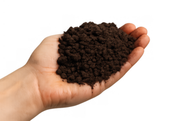 Hand holding a handful of rich, dark earth, ready for planting and supporting new life. Transparent background