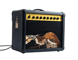 Amplifier with tattered guitar inside against black background. Shows musical instrument within the device